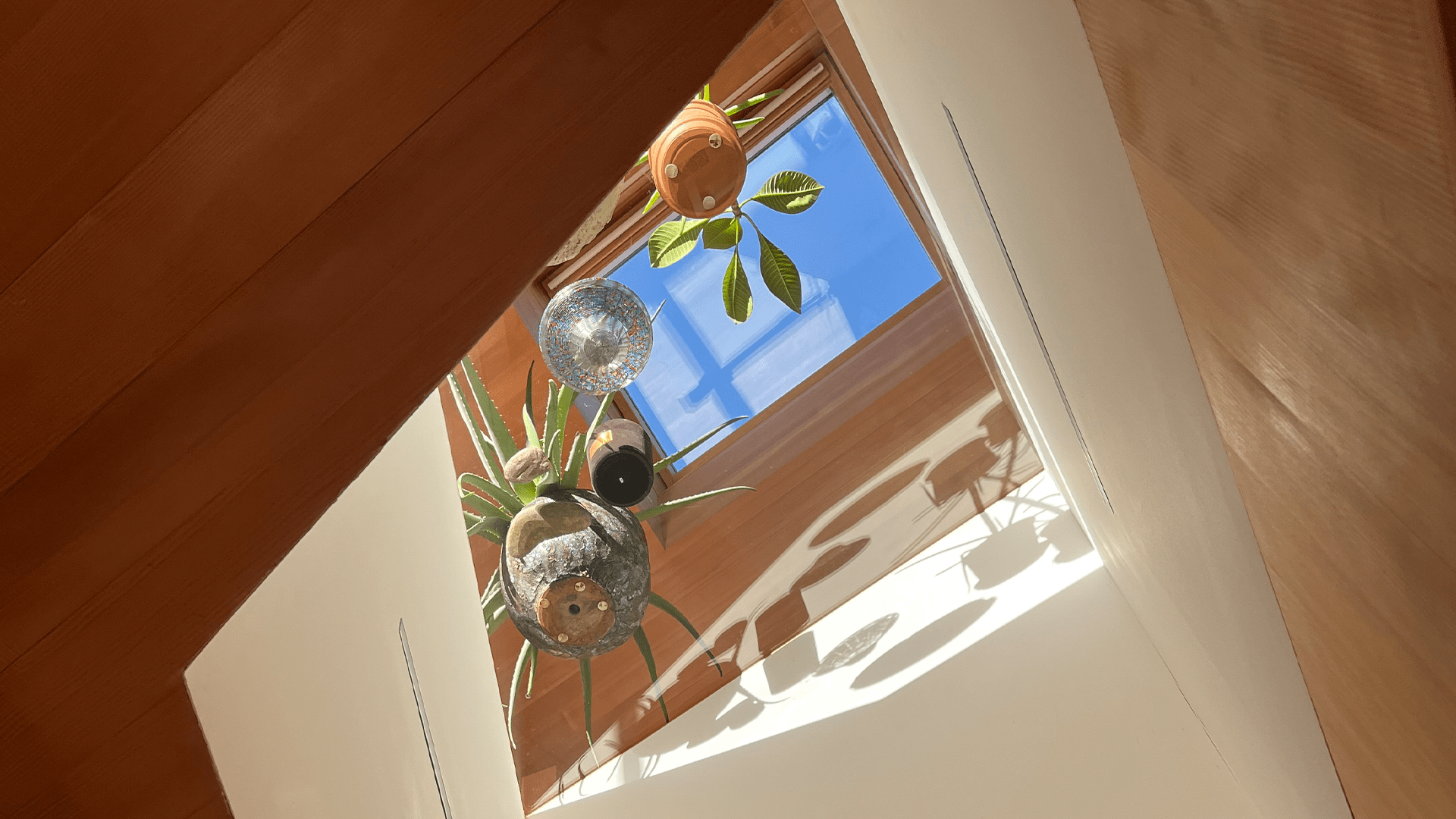 garden of venus building roof window