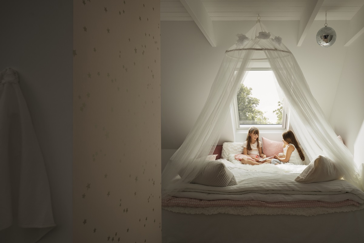 VELUX jumta logi