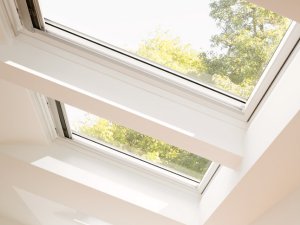 skylights in patio with green trees in wellington
