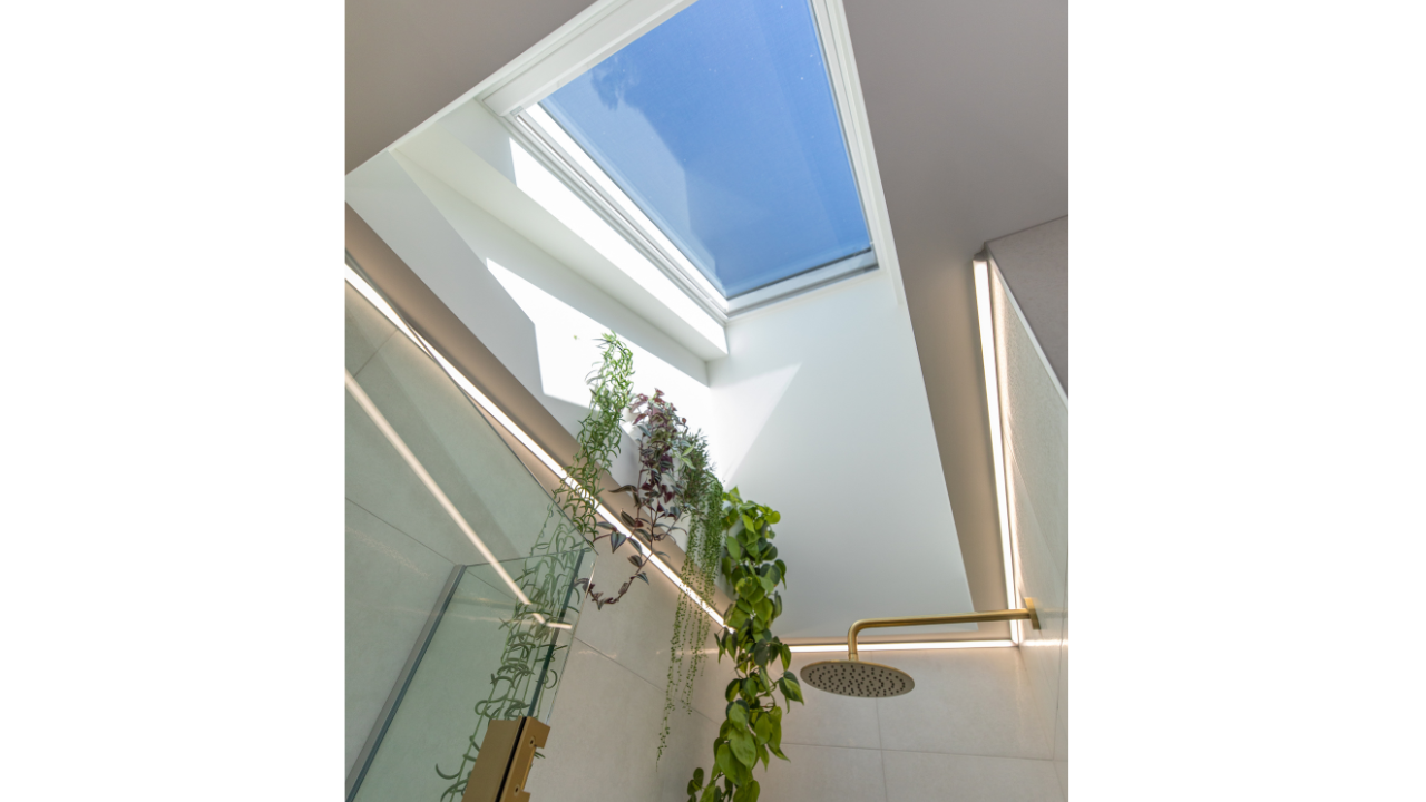 skylights above shower ceiling with greenery
