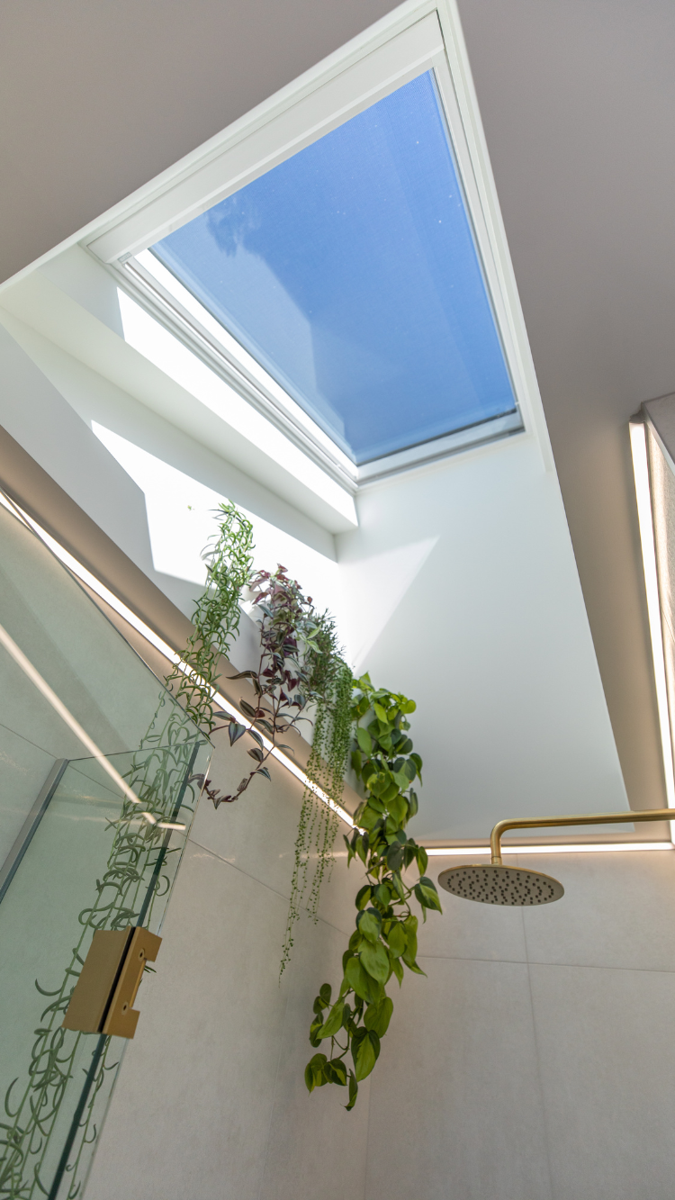 skylights above shower ceiling with greenery