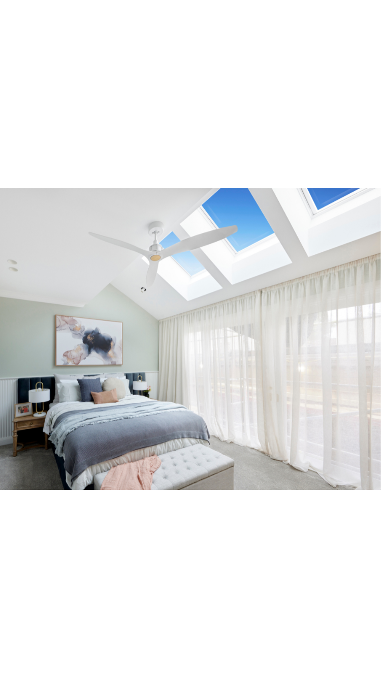 3 skylights over bedroom with ceiling fan