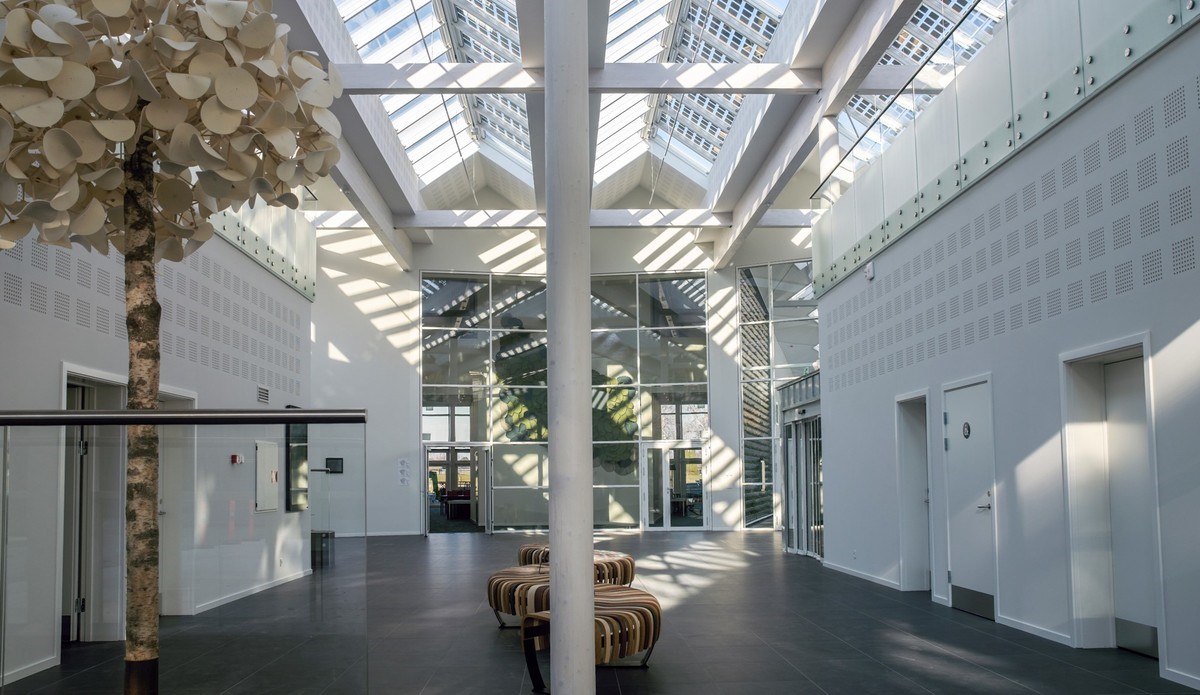 Green Solution House - światło dzienne