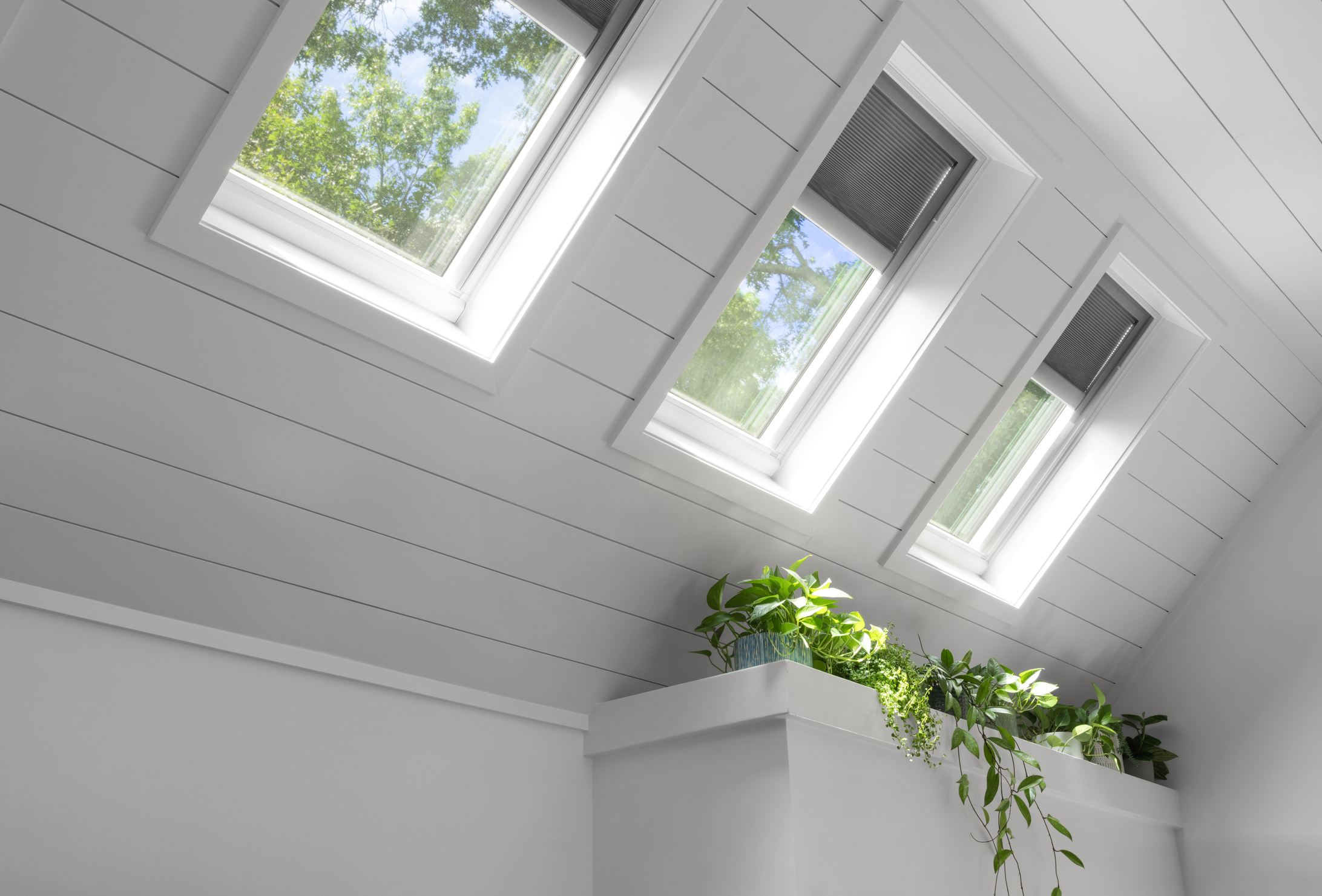 Three VELUX skylights with dark gray shades flood light onto some indoor plants sitting on a ledge underneath. 